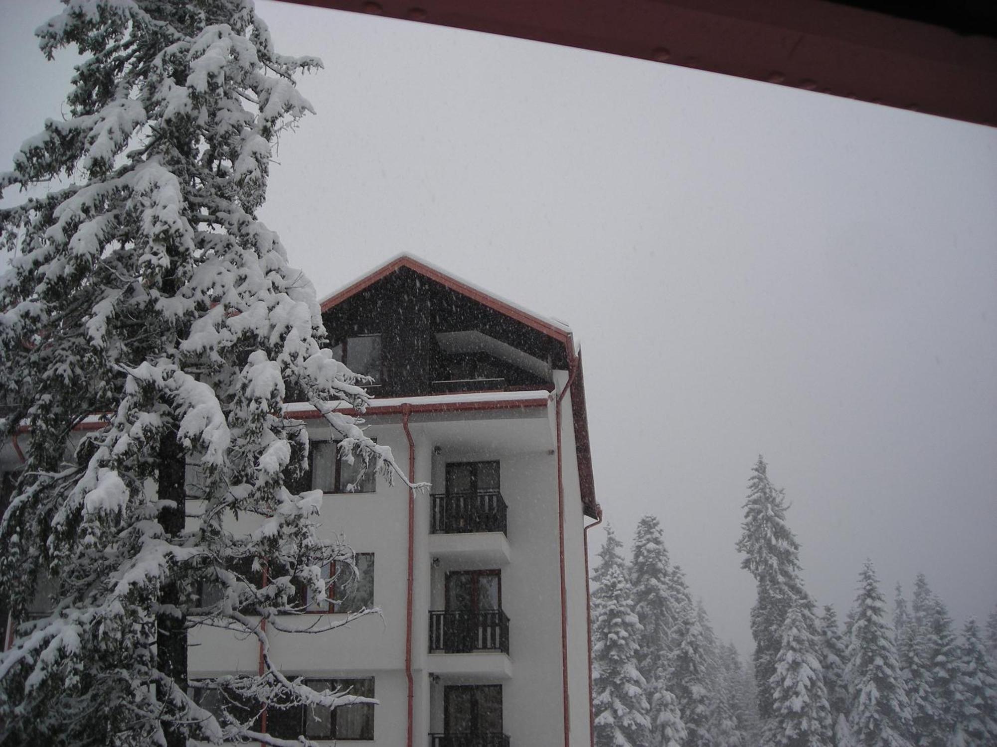 Borovets Gardens Chalet Flat Dış mekan fotoğraf